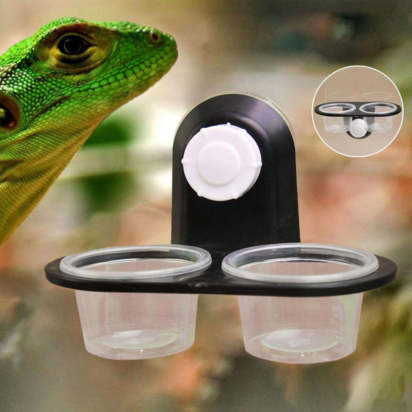 Gecko Food Dish Gecko Feeding  - Water Dish Reptile reseña y precio