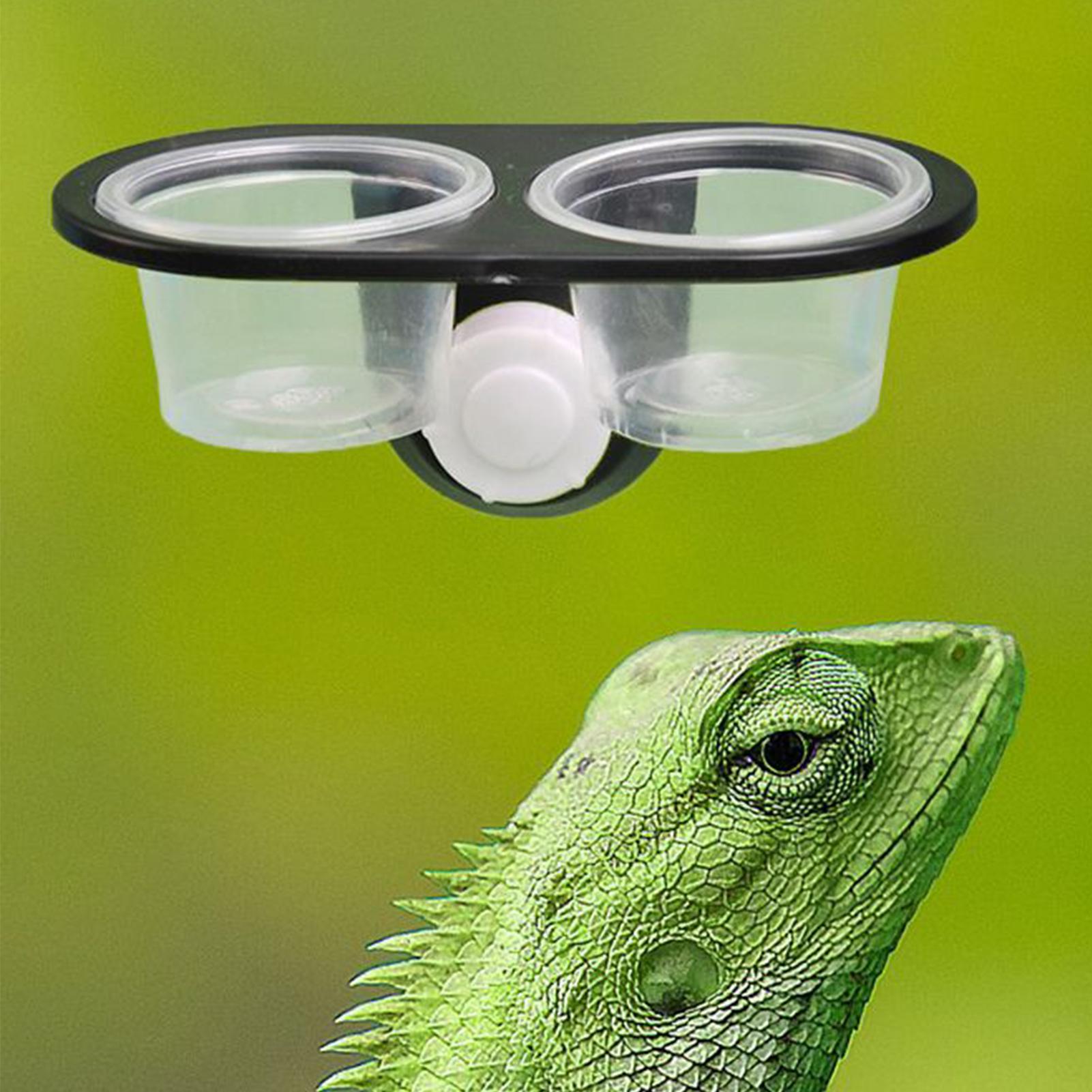 Gecko Food Dish Gecko Feeding  - Water Dish Reptile reseña y precio