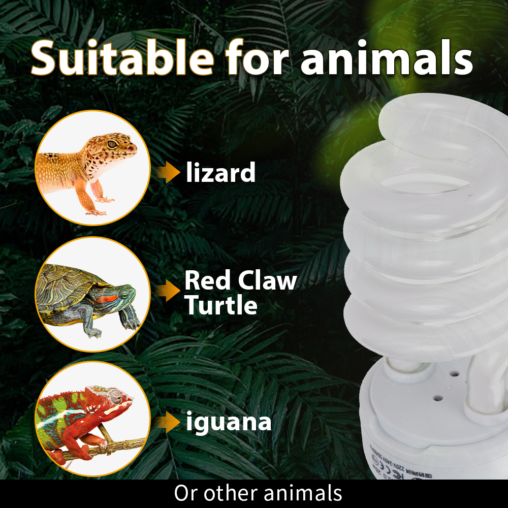 26W Pet Box Lamp Calcium Suppl - Calcium Powder Reptile reseña y precio