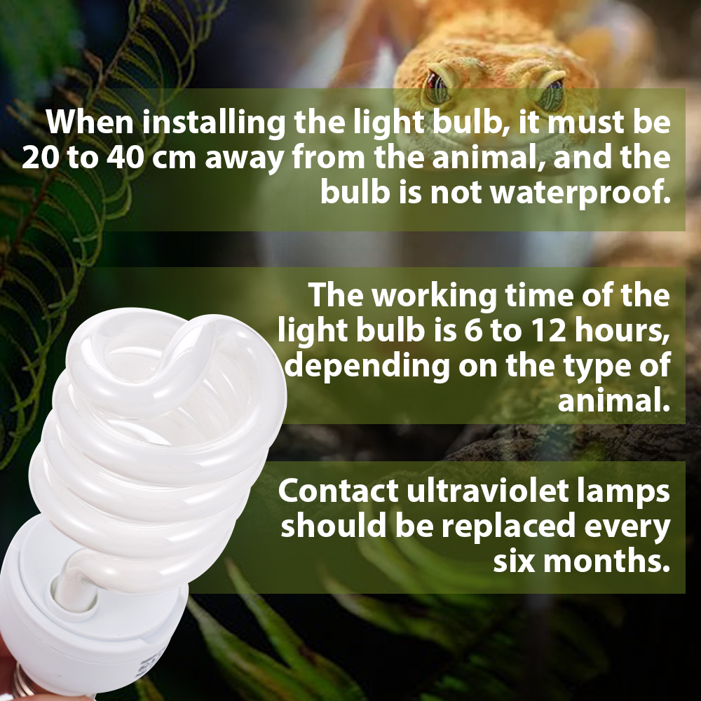 26W Pet Box Lamp Calcium Suppl - Calcium Powder Reptile reseña y precio