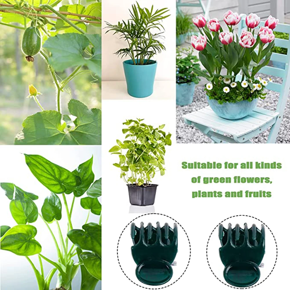 Phalaenopsis Orchid Support Cl - Vine Climbing Plastic reseña y precio