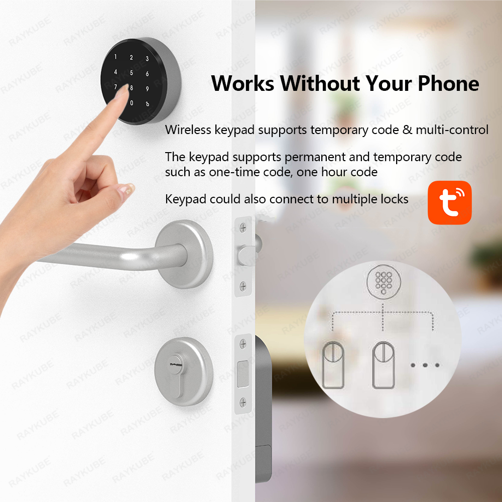 RAYKUBE A1 Pro Tuya BEL Smart  - Glass Door Hinge reseña y precio
