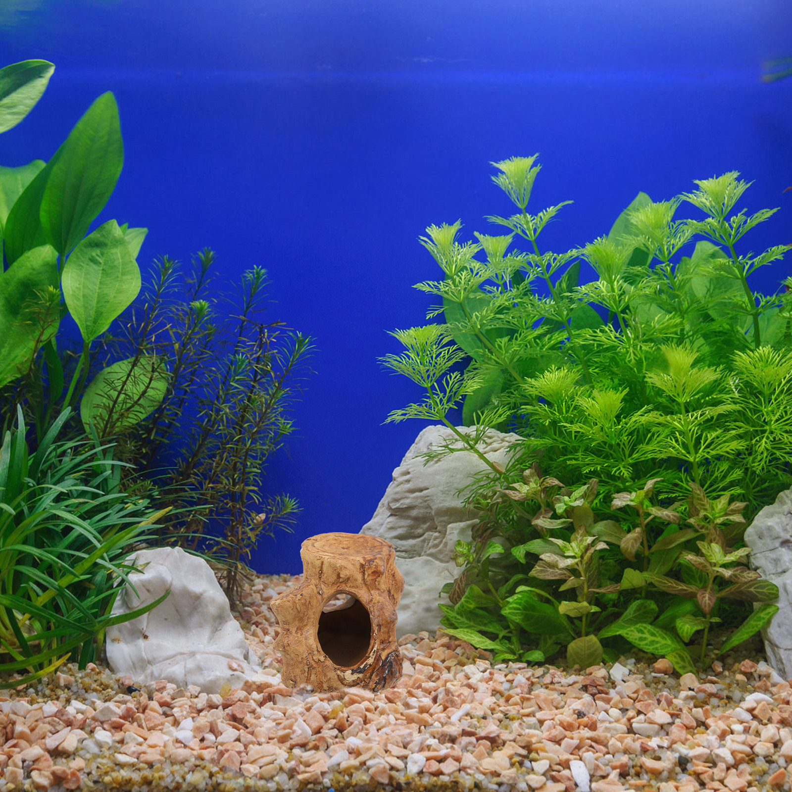 Pleco Caves Fish Tank Decorati - Hide Cave Ceramic reseña y precio
