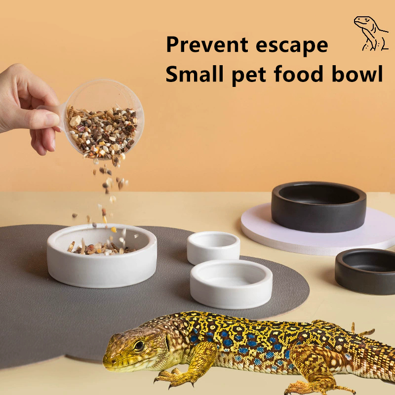 HOT! Reptile Food Bowl Anti-Es - Water Dish Reptile reseña y precio
