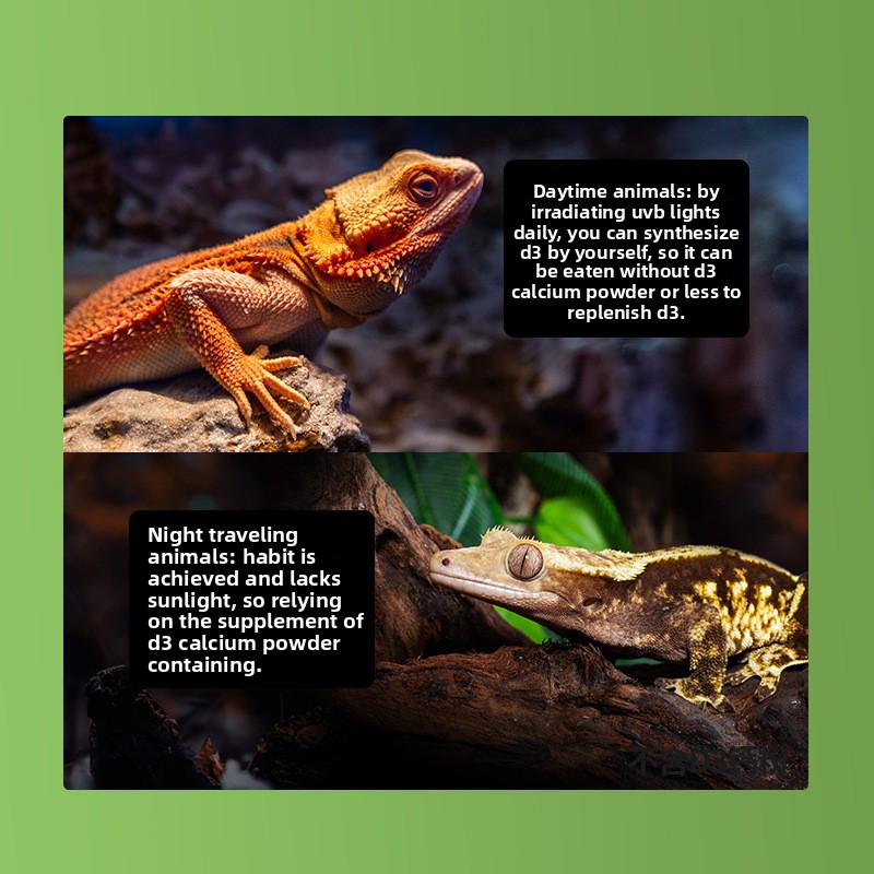 Reptizoo Reptile Calcium Powde - Calcium Powder Reptile reseña y precio