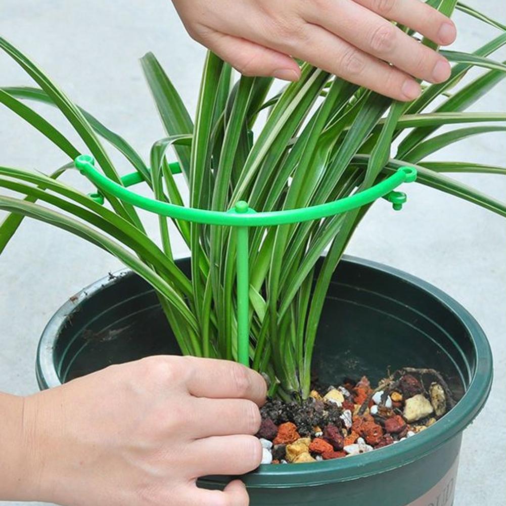 Adjustable Green Checkered Gar - Vine Climbing Plastic reseña y precio