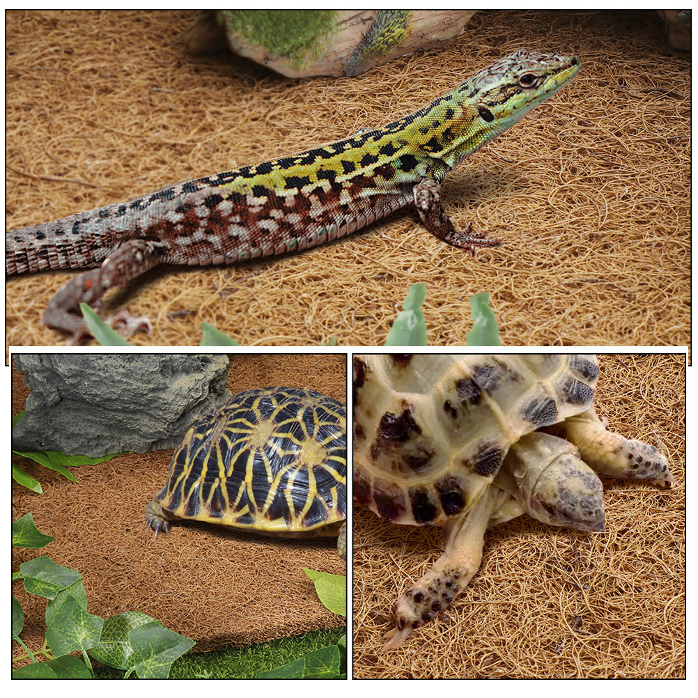Reptile Carpet Natural Coconut - Substrate Coconut Fiber reseña y precio