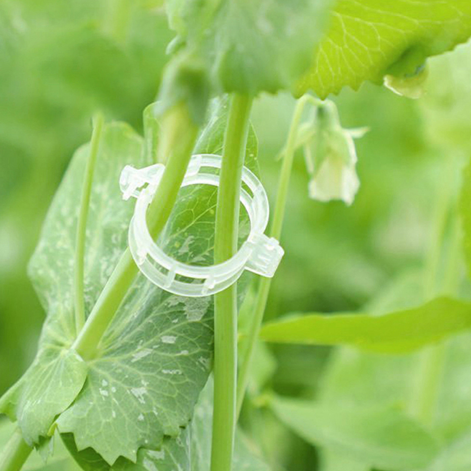 400Pcs Tomato Clips Plastic Ve - Vine Climbing Plastic reseña y precio