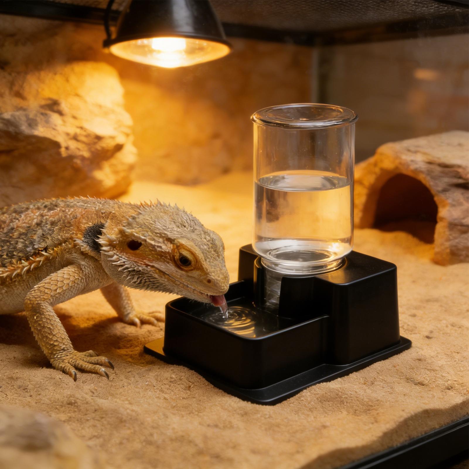 Bearded Dragon Water Fountain  - Water Dish Reptile reseña y precio