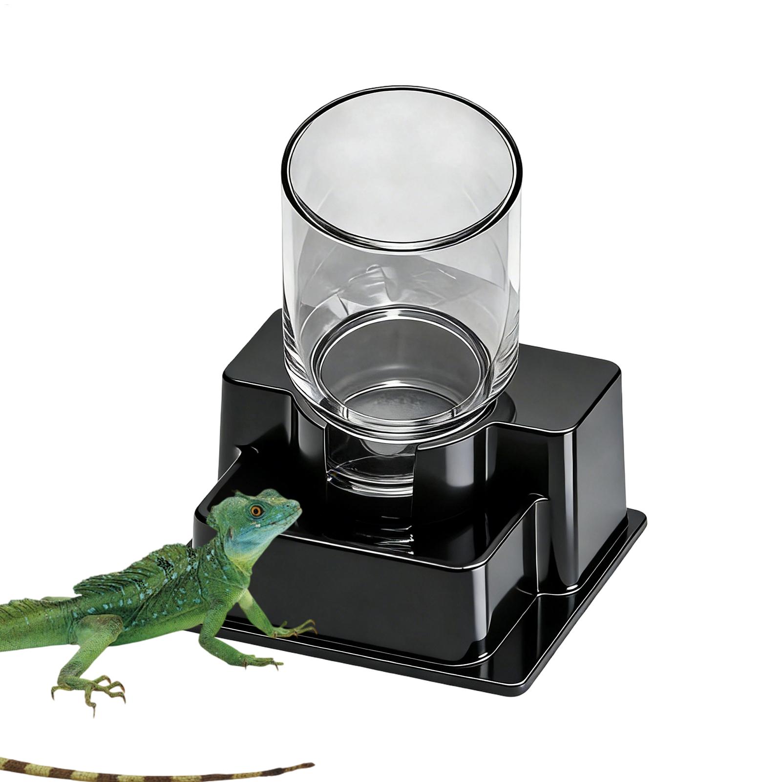Bearded Dragon Water Fountain  - Water Dish Reptile reseña y precio