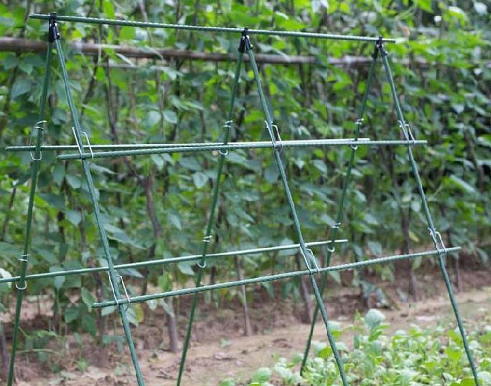 Diameter 8/11/16mm Plant Suppo - Vine Climbing Plastic reseña y precio