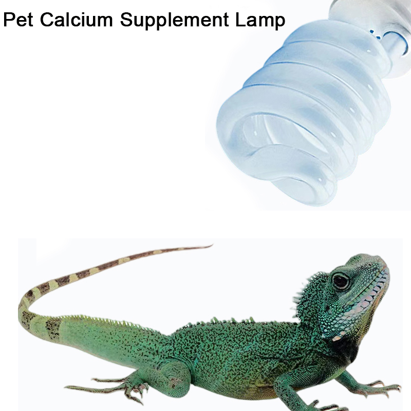 E27 13W/26W Reptile Uvb Lamp   - Calcium Powder Reptile reseña y precio