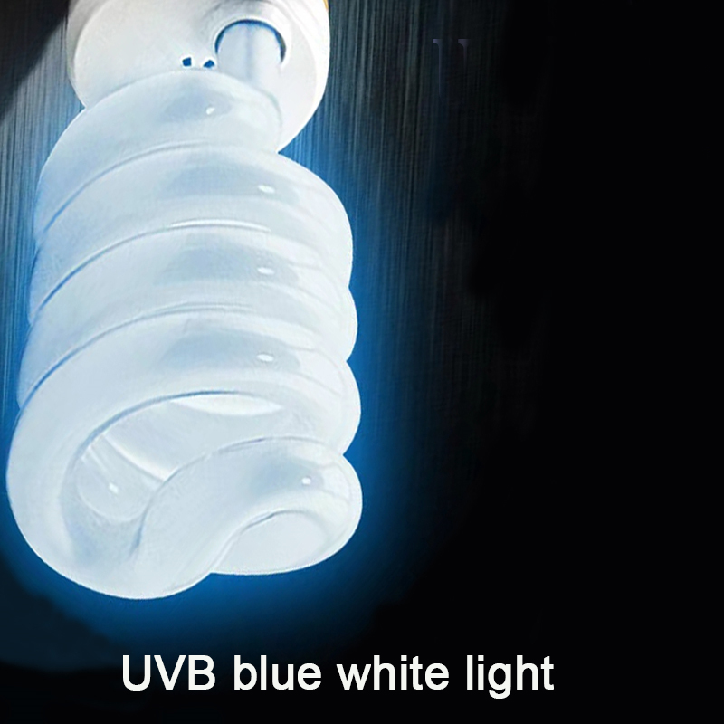 E27 13W/26W Reptile Uvb Lamp   - Calcium Powder Reptile reseña y precio