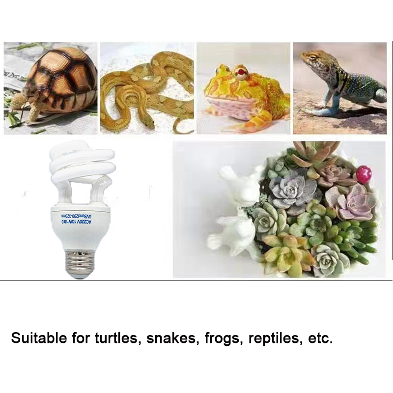 E27 13W/26W Reptile Uvb Lamp   - Calcium Powder Reptile reseña y precio