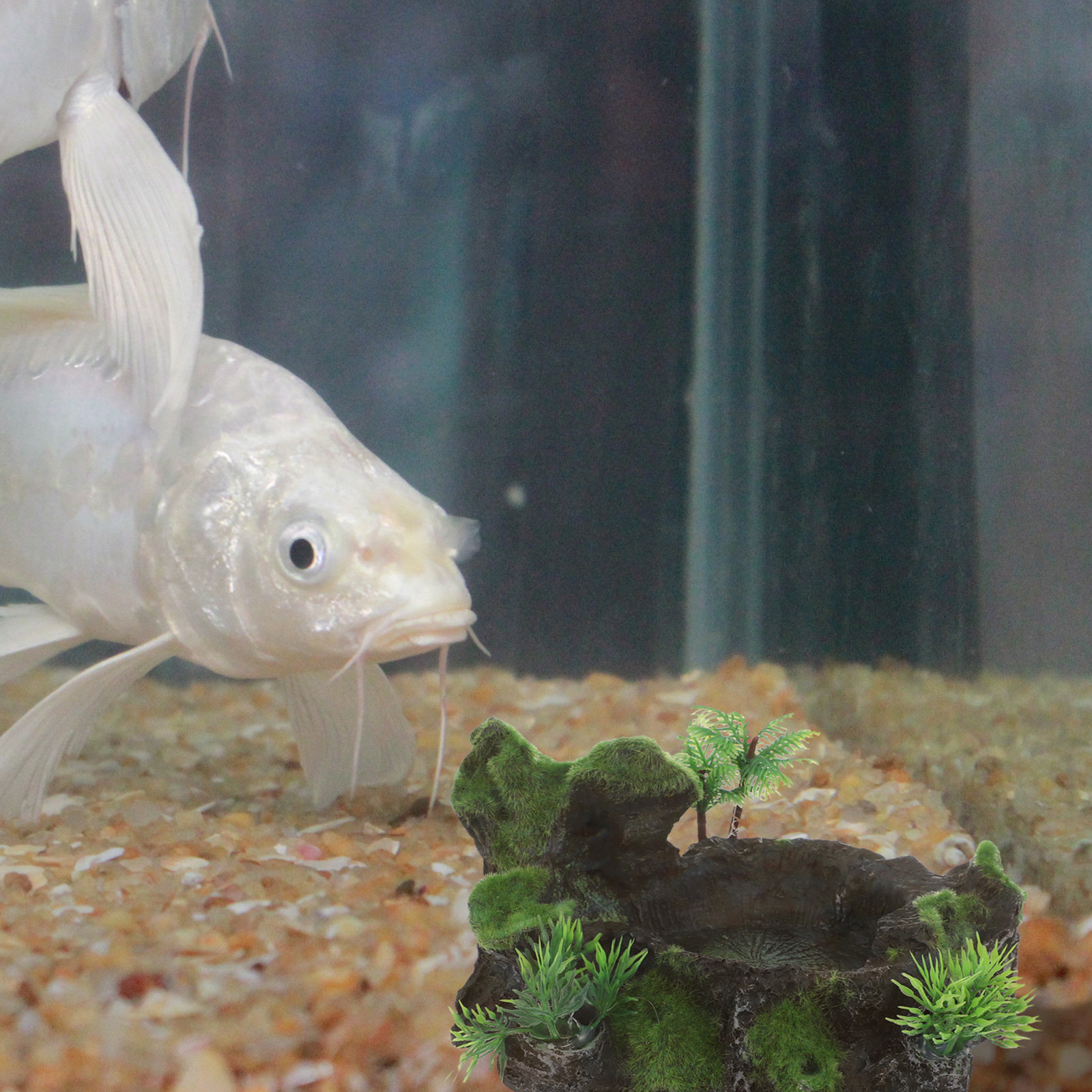 Realistic Stone Design Reptile - Water Dish Reptile reseña y precio