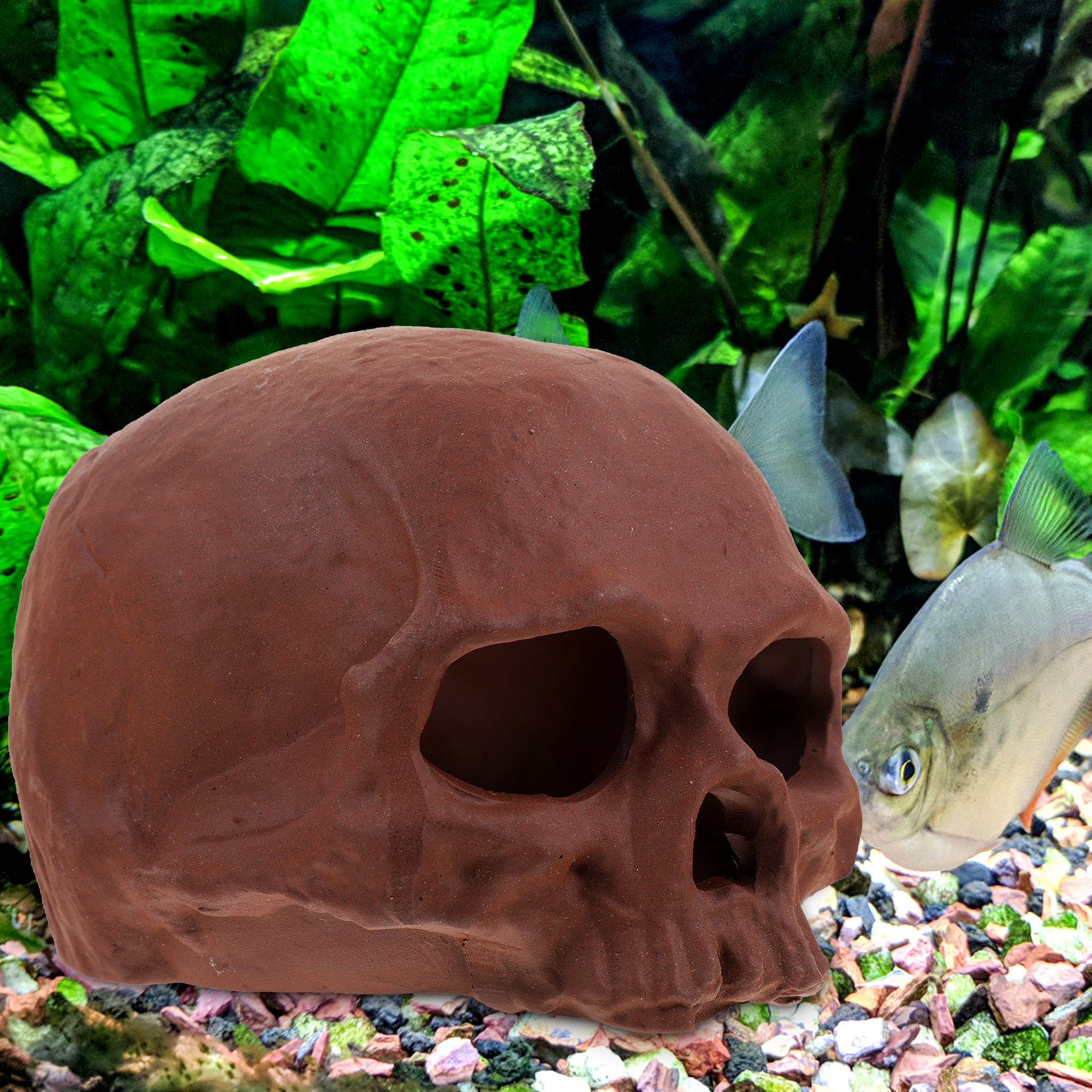 Ceramic Fish Tank Decoration S - Hide Cave Ceramic reseña y precio