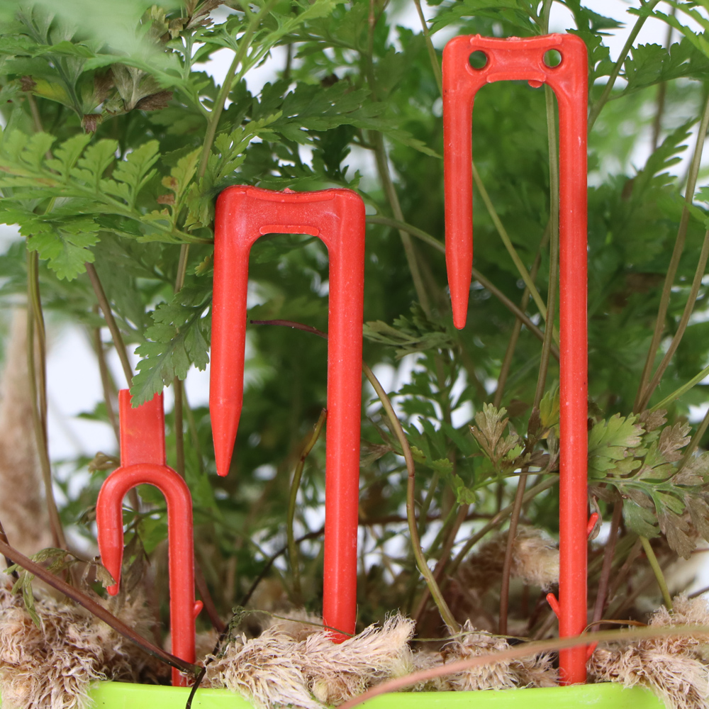 20-50PCS Strawberry Planting F - Vine Climbing Plastic reseña y precio