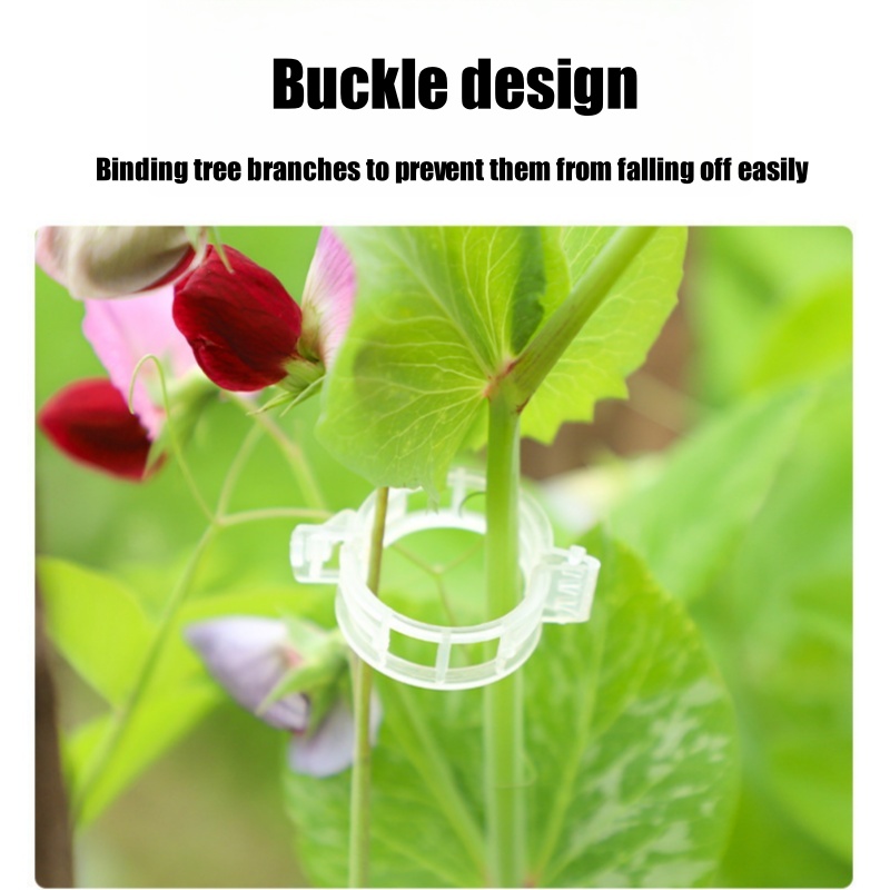 500Pcs Plastic Plant Support C - Vine Climbing Plastic reseña y precio