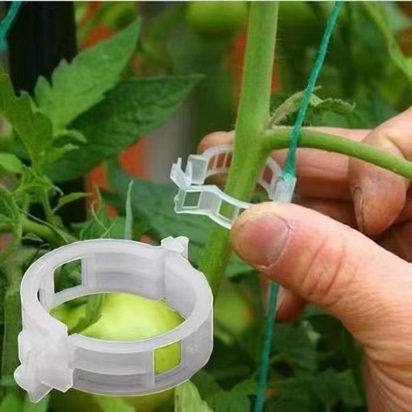 500Pcs Plastic Plant Support C - Vine Climbing Plastic reseña y precio