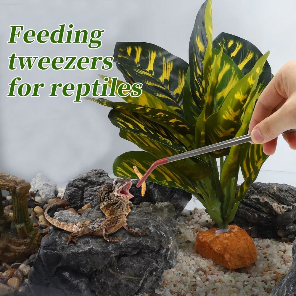 Stainless Steel Aquarium Feedi - Feeding Tong Stainless reseña y precio