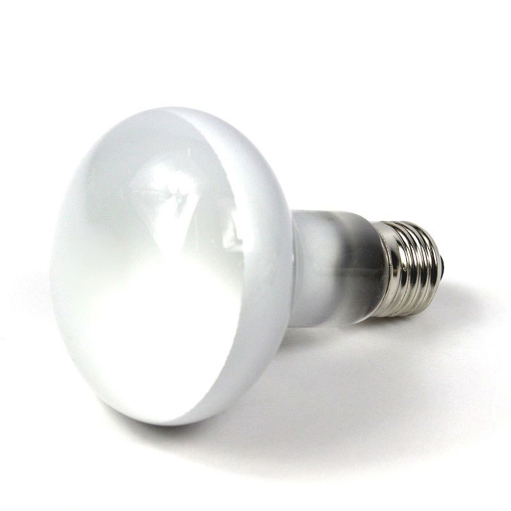 Lizard Heater Temperature Cont - Basking Bulb Halogen reseña y precio