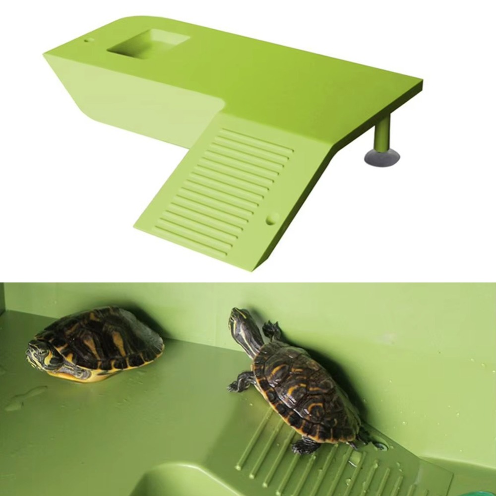Water Land Slope Box Feeding C - Water Dish Reptile reseña y precio