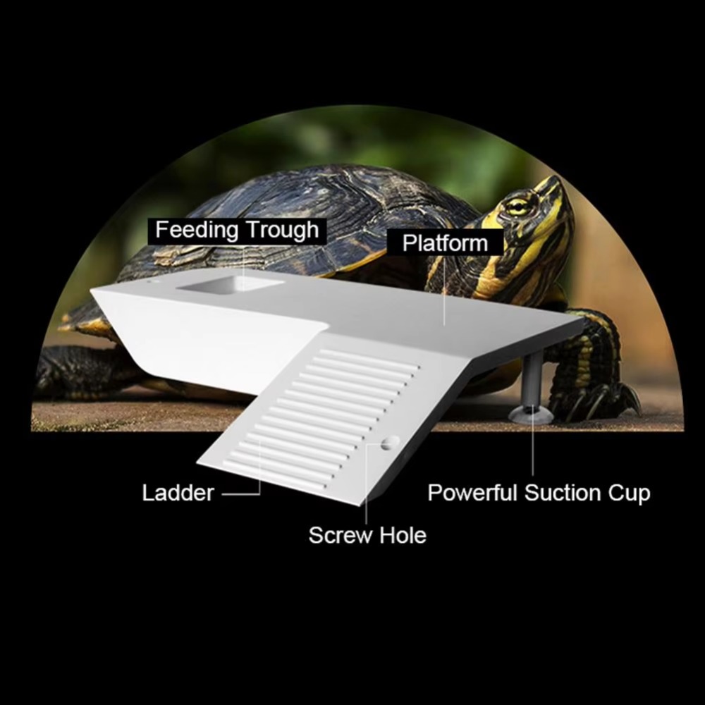 Water Land Slope Box Feeding C - Water Dish Reptile reseña y precio