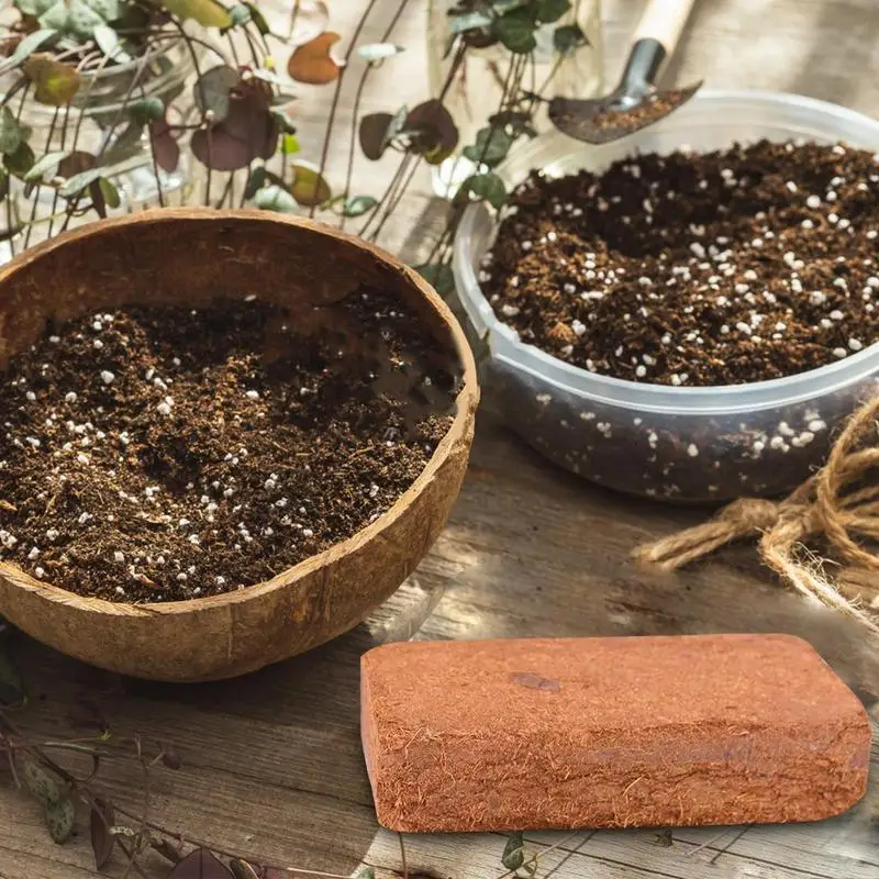 Reptile Coconut Soil Natural C - Substrate Coconut Fiber reseña y precio