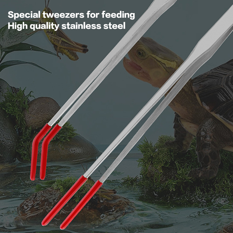 Stainless Steel Reptile Feedin - Feeding Tong Stainless reseña y precio