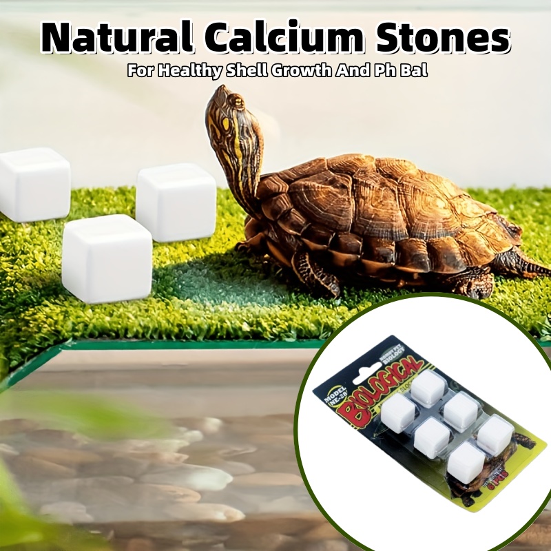 6 Pcs Fish Tank Calcium Block  - Calcium Powder Reptile reseña y precio