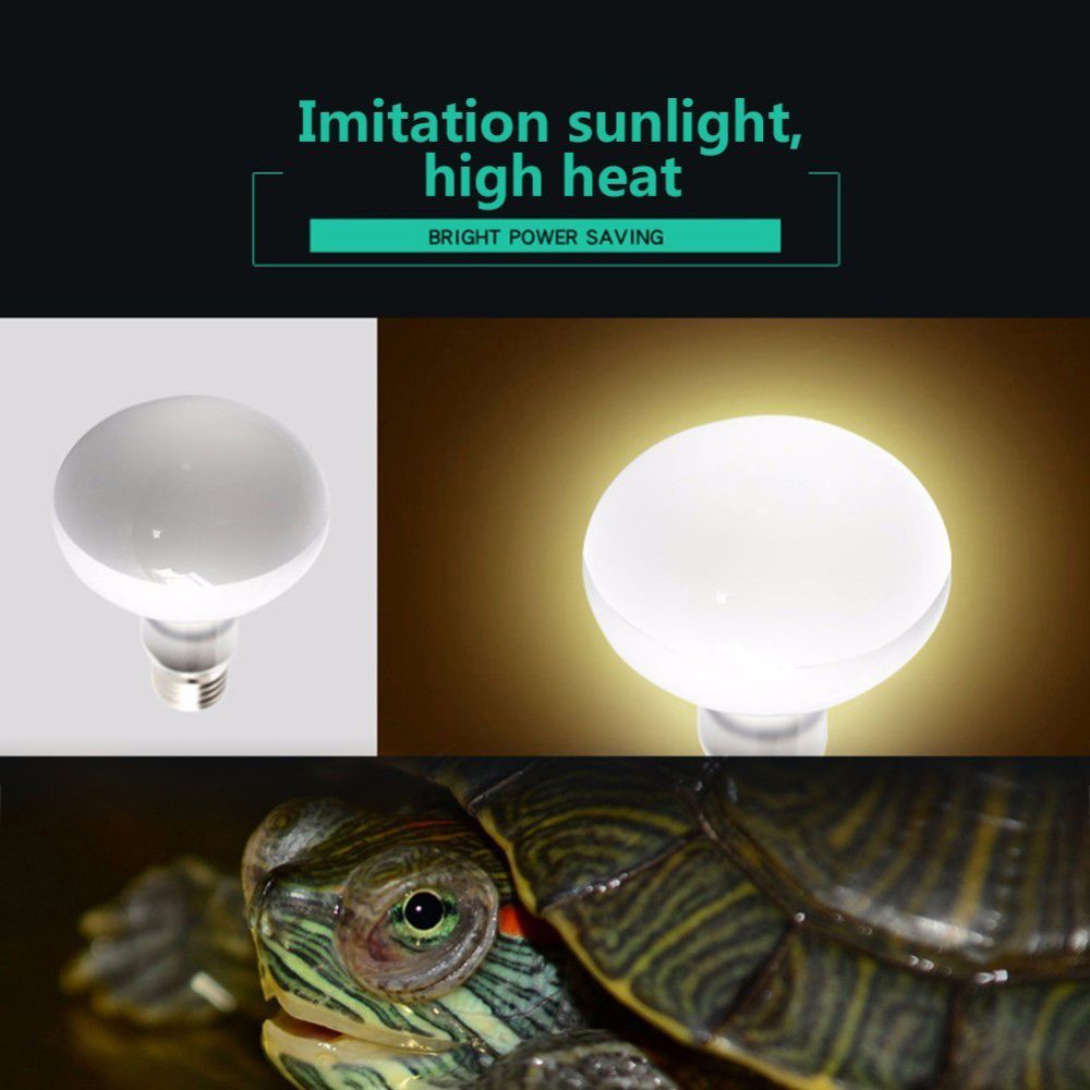 Amphibians Heat Lamp Temperatu - Basking Bulb Halogen reseña y precio