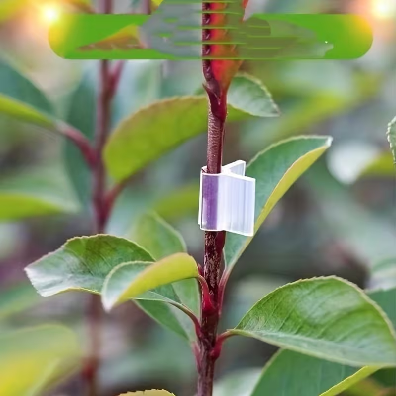 50pcs Agriculture Grafting Cli - Vine Climbing Plastic reseña y precio
