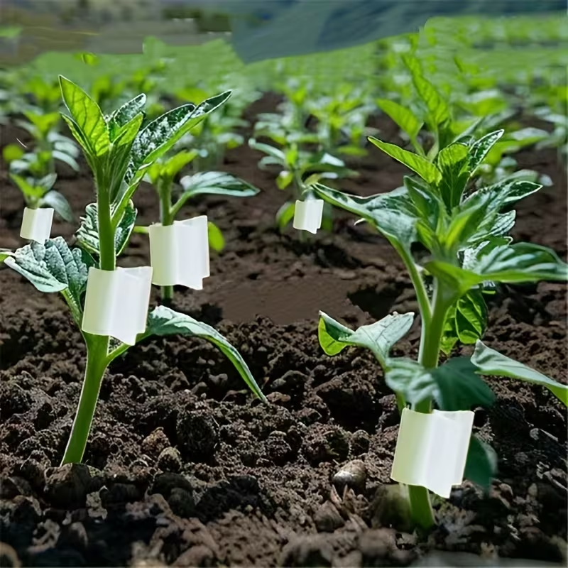 50pcs Agriculture Grafting Cli - Vine Climbing Plastic reseña y precio