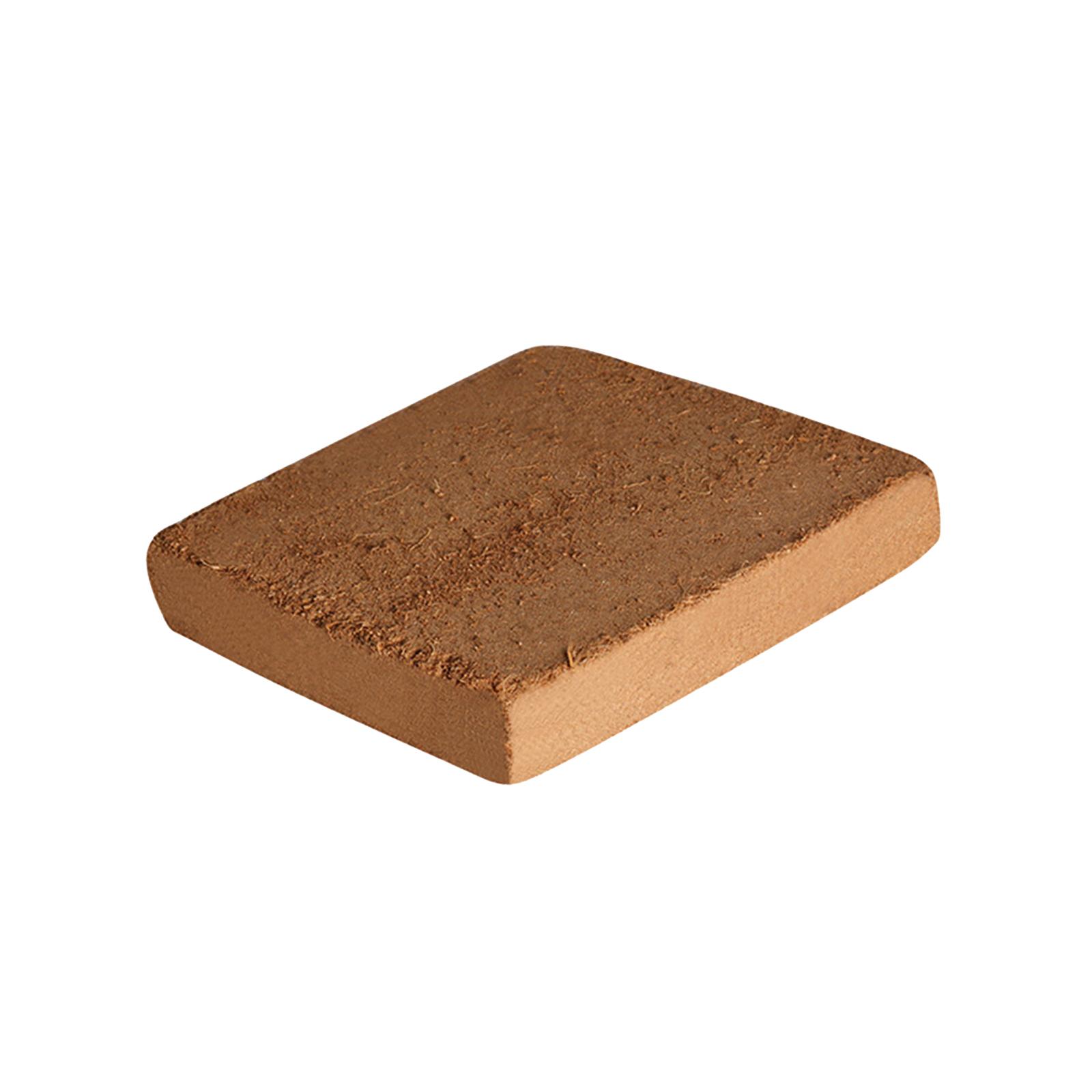 Soil Coconut Fibre Terrarium S - Substrate Coconut Fiber reseña y precio