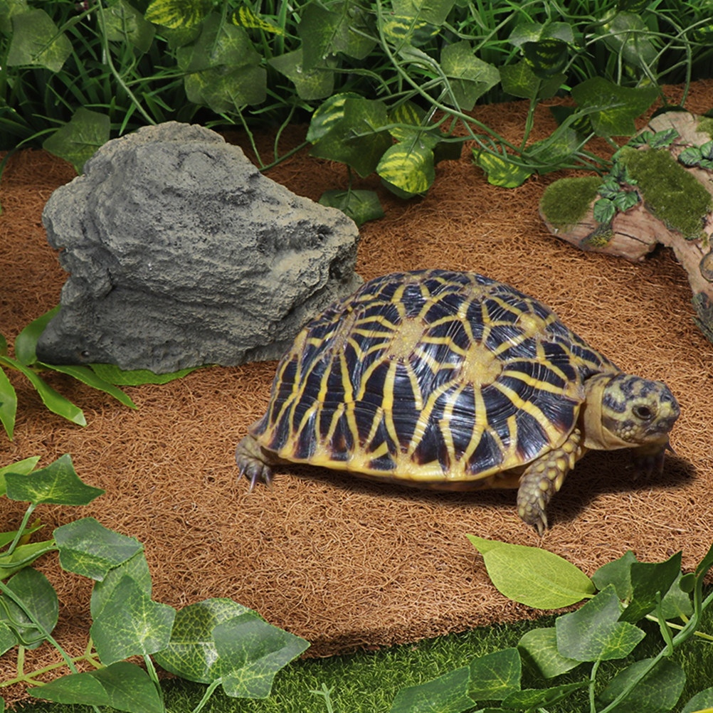 Natural Coconut Fiber Reptile  - Substrate Coconut Fiber reseña y precio