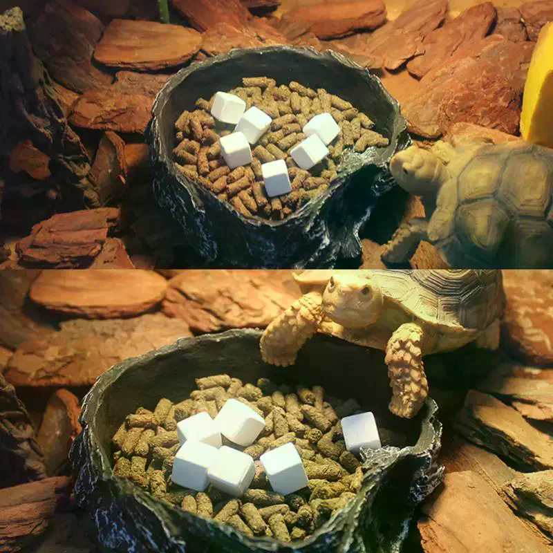 Slow Release Calcium Mineral B - Calcium Powder Reptile reseña y precio
