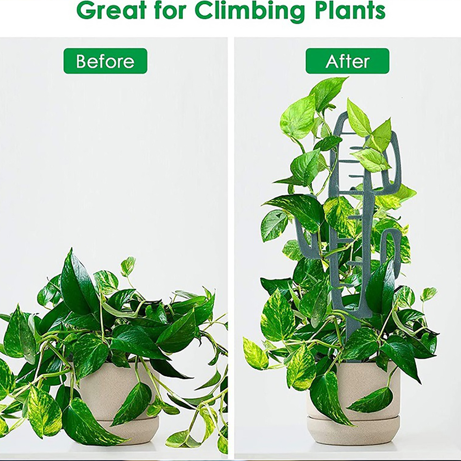Plant Climbing Support Stand F - Vine Climbing Plastic reseña y precio