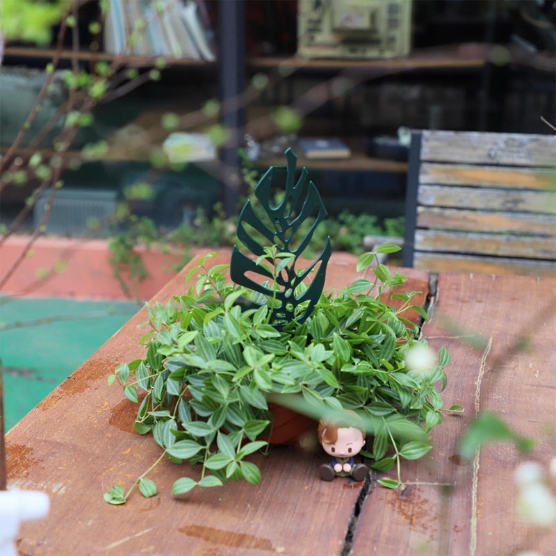 Plant Climbing Support Stand F - Vine Climbing Plastic reseña y precio