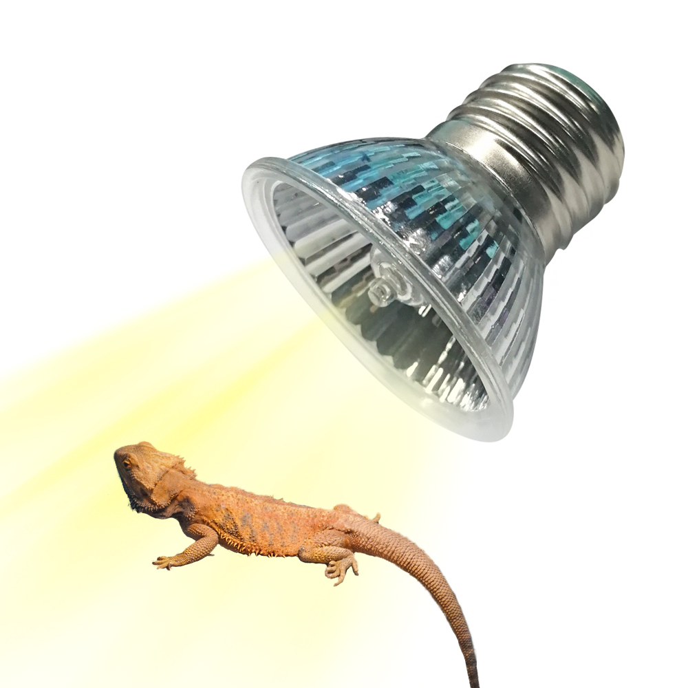 25W/75W/100W Full Spectrum UVA - Calcium Powder Reptile reseña y precio