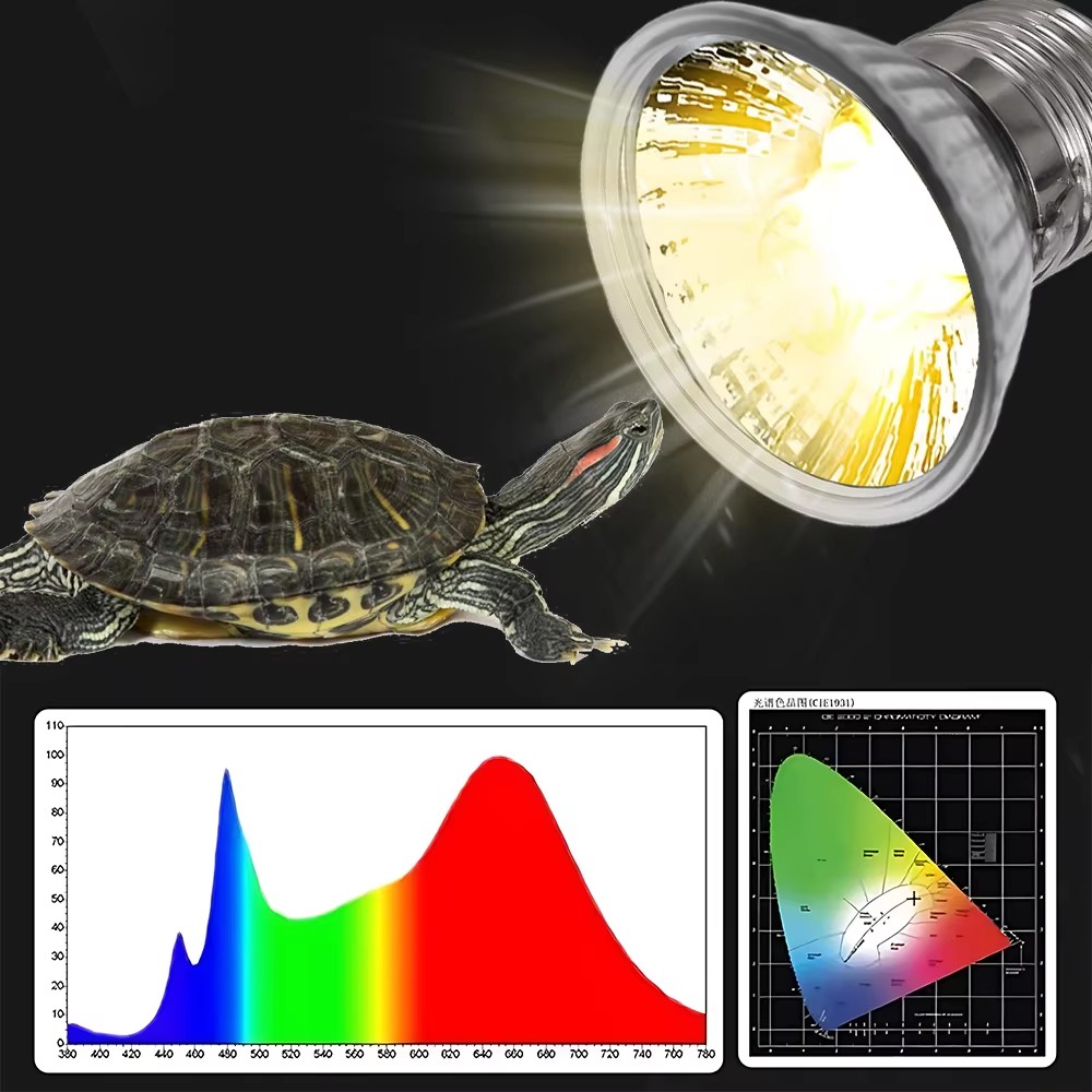 25W/75W/100W Full Spectrum UVA - Calcium Powder Reptile reseña y precio