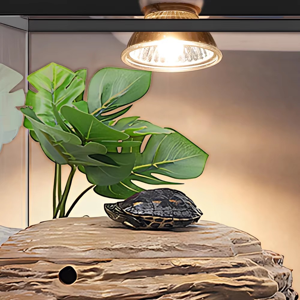 25W/75W/100W Full Spectrum UVA - Calcium Powder Reptile reseña y precio