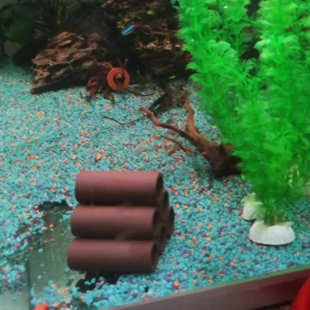 Playing Breeding Spawning Aqua - Hide Cave Ceramic reseña y precio