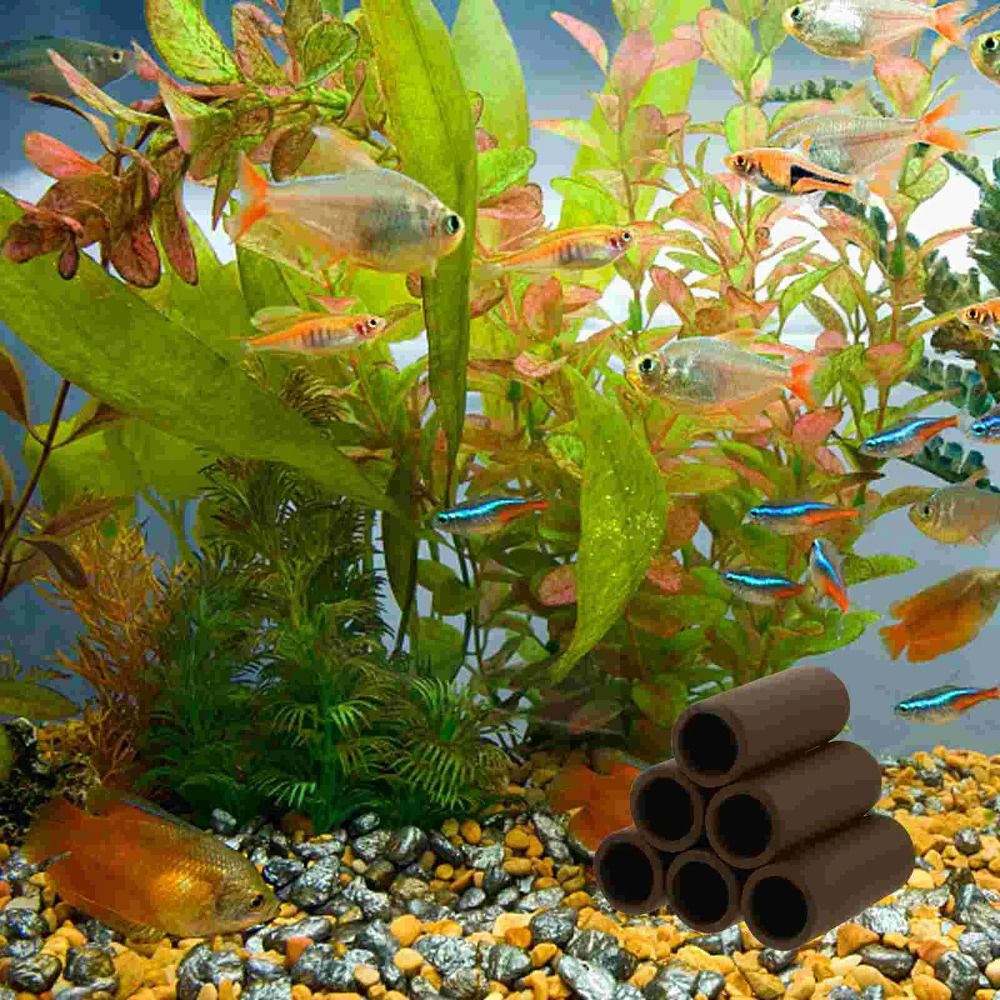 Playing Breeding Spawning Aqua - Hide Cave Ceramic reseña y precio