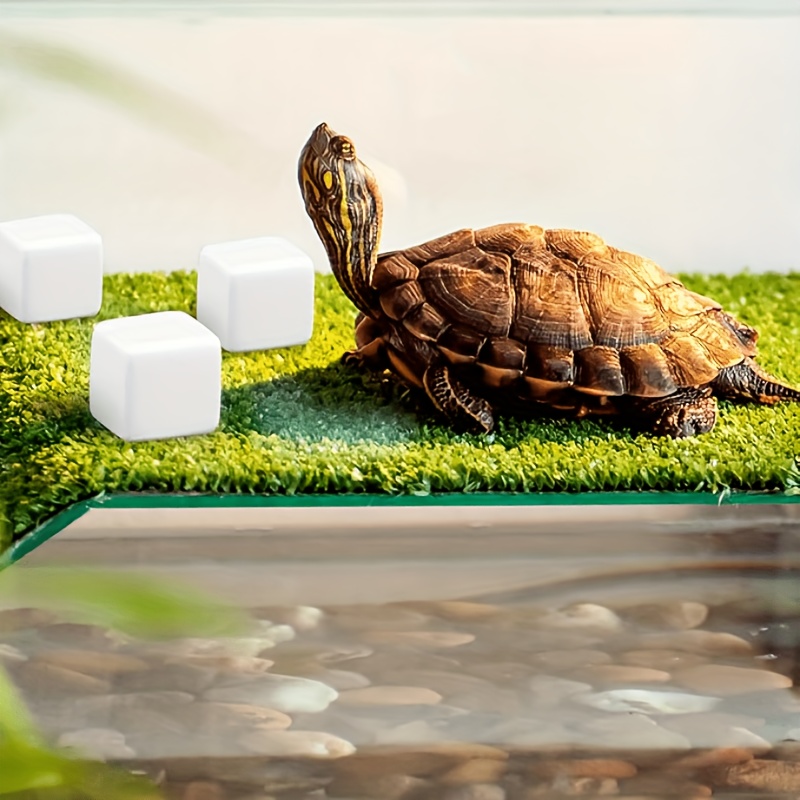 6 Pcs Fish Tank Calcium Block  - Calcium Powder Reptile reseña y precio