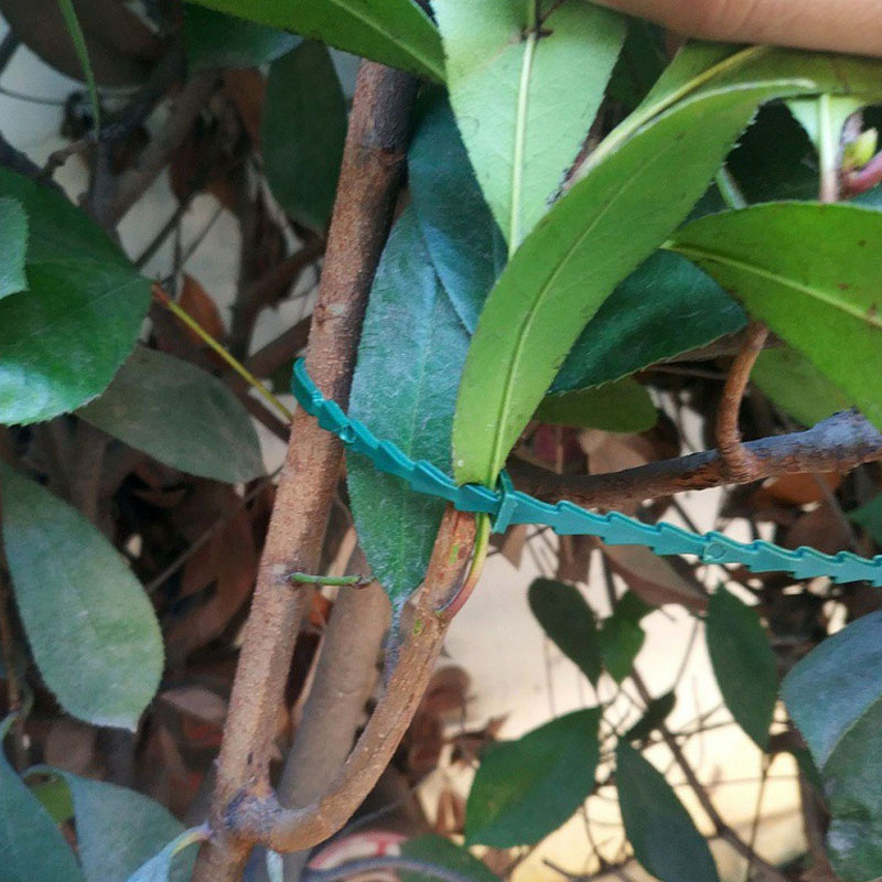 13cm Adjustable Plastic Plant  - Vine Climbing Plastic reseña y precio