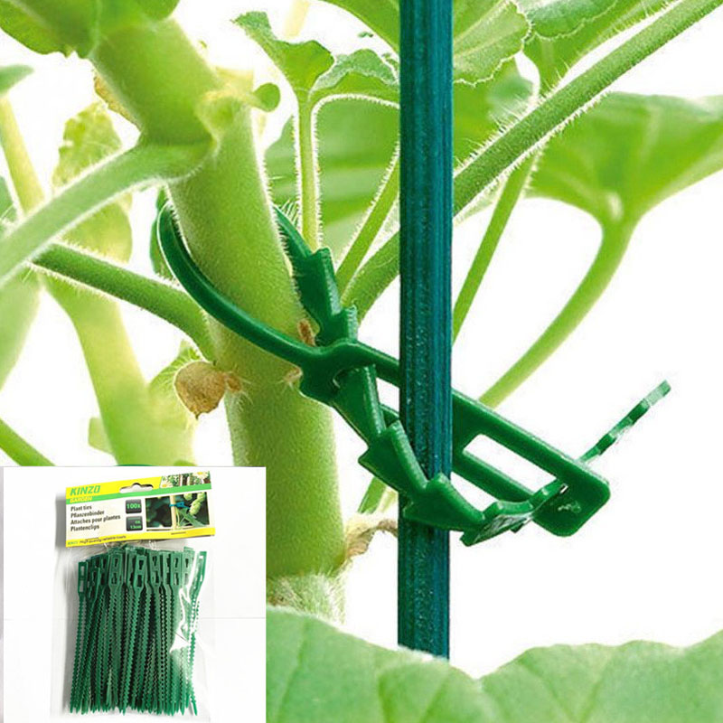 13cm Adjustable Plastic Plant  - Vine Climbing Plastic reseña y precio