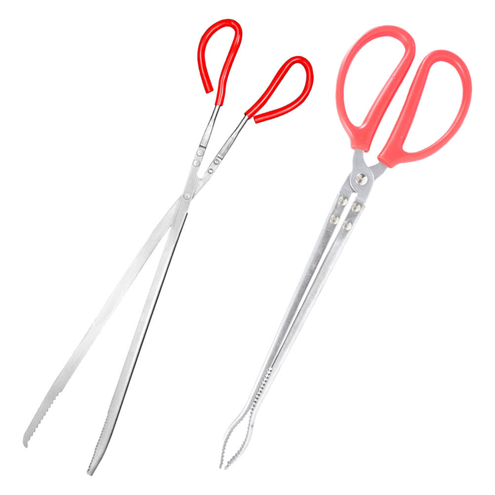 2Pcs Stainless Steel Snake Ton - Feeding Tong Stainless reseña y precio
