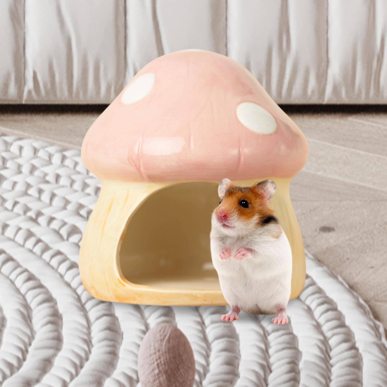 Ceramic Mushroom Hamster Hideo - Hide Cave Ceramic reseña y precio