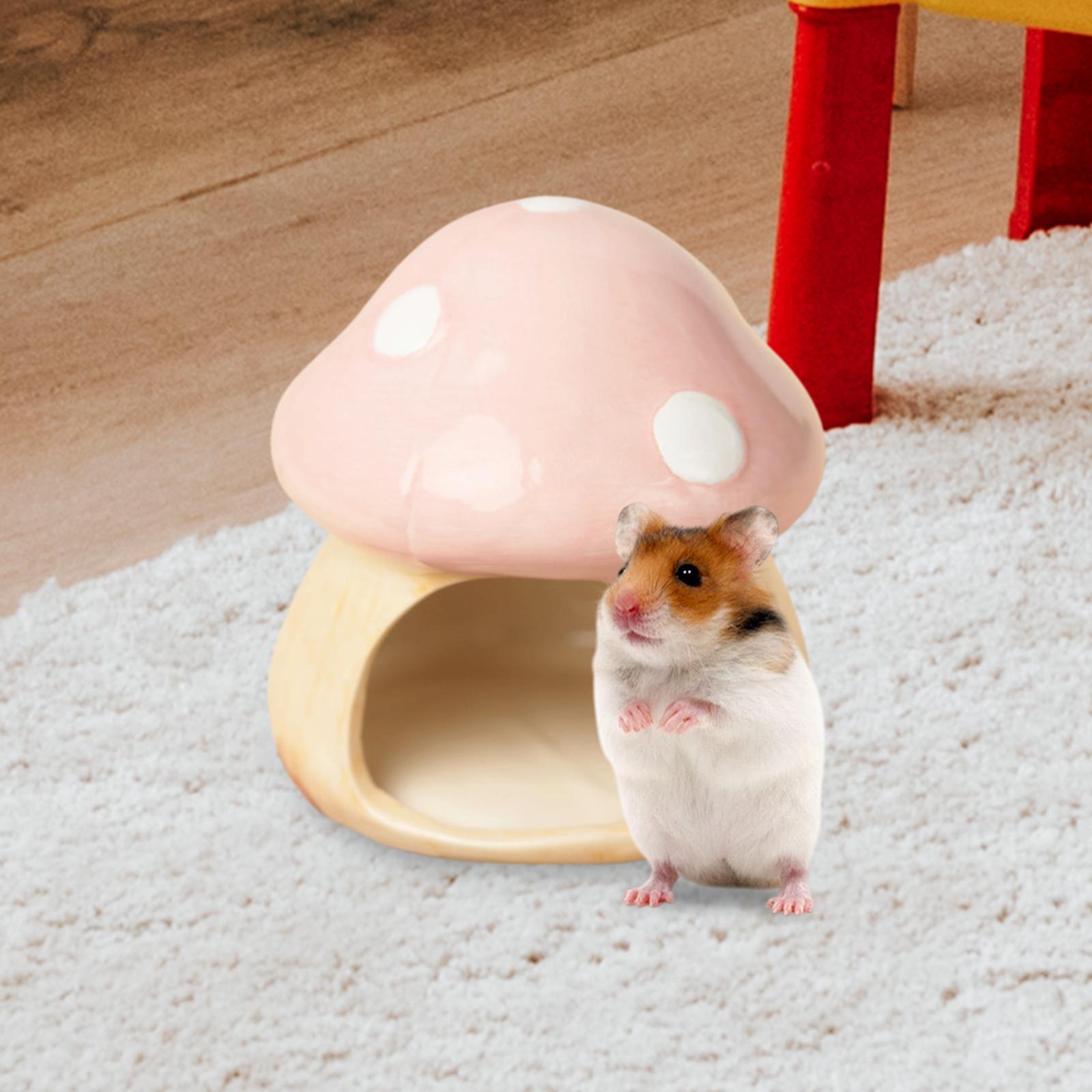 Ceramic Mushroom Hamster Hideo - Hide Cave Ceramic reseña y precio