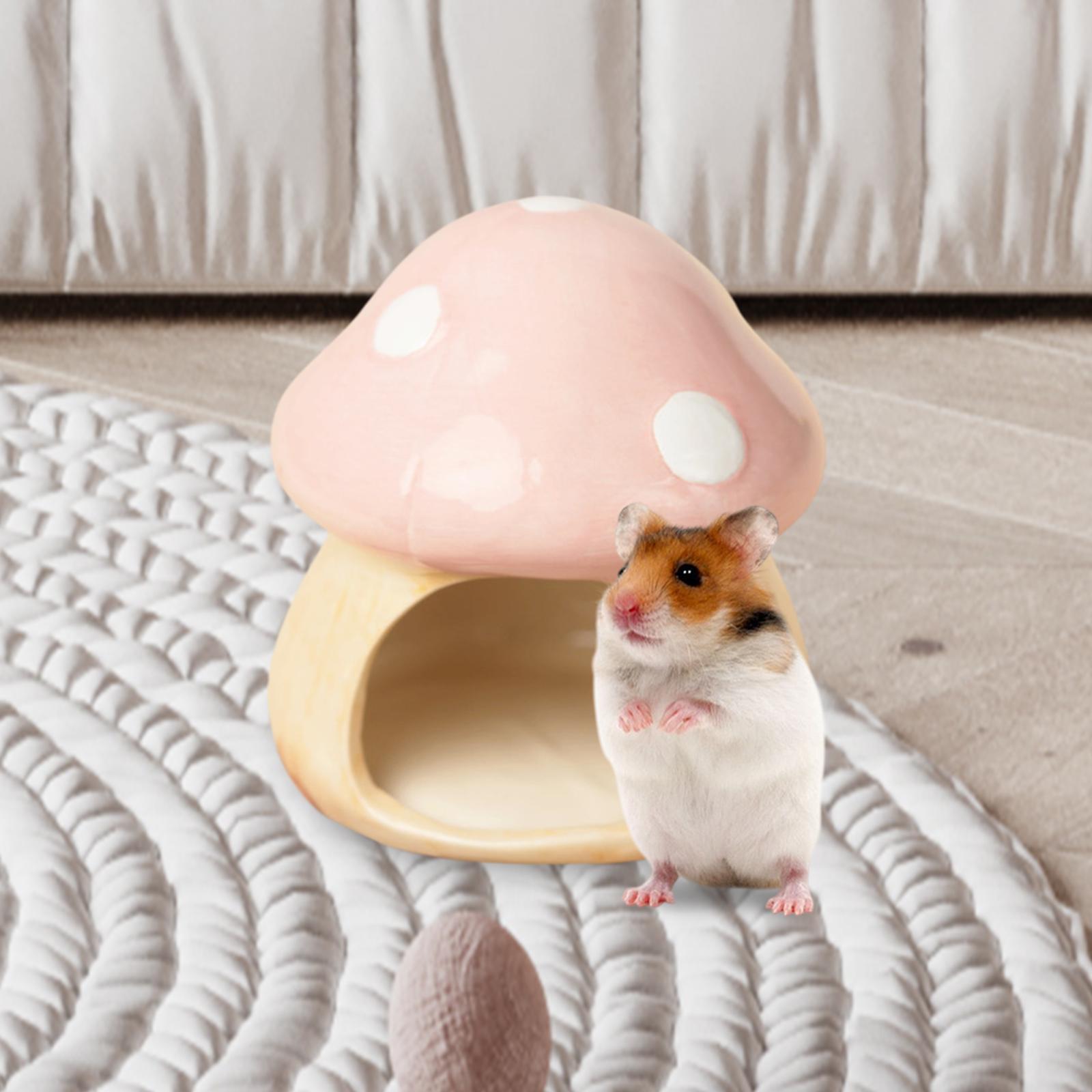 Ceramic Mushroom Hamster Hideo - Hide Cave Ceramic reseña y precio